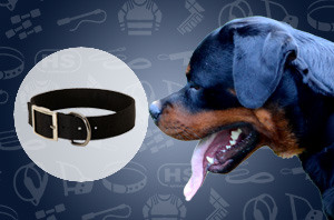 Dog collar