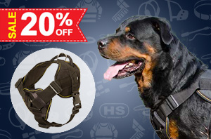 Nylon dog harness