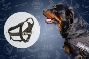 Rottweiler harness