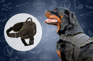 Rottweiler harness