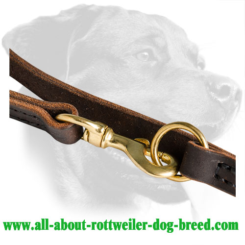 Brass Snap Hook of Rottweiler Walking Leash