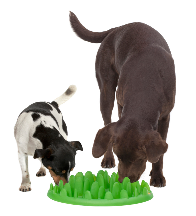 Green Lawn Small Plastic Rottweiler Feeder [KA161075 Interactive Slow