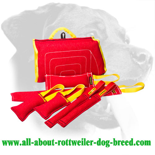 Lightweight Rottweiler Bite Set Made of French Linen