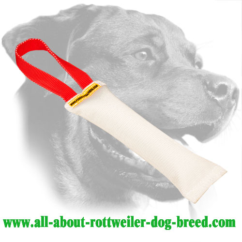 Rottweiler Bite Tug Made of Fire Hose with a Comfortable Handle
