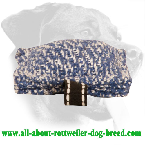 French Linen Rottweiler Compact Bite Tug