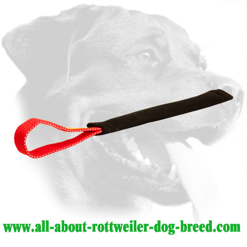 Rottweiler Bite Tug Made of French Linen with One Handle