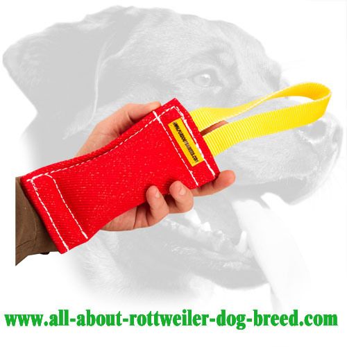 French Linen Rottweiler Bite Tug with Stitched Handle