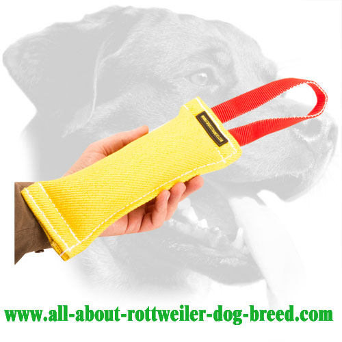 French Linen Rottweiler Bite Tug Equipped with One Handle