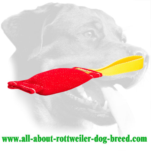 Rottweiler Bite Tug for Developing Prey Drive Made of French Linen
