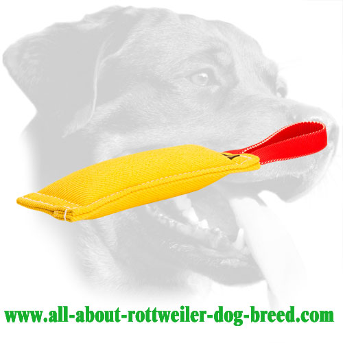 Rottweiler Bite Tug Made of French Linen with Non-Toxic Stuffing