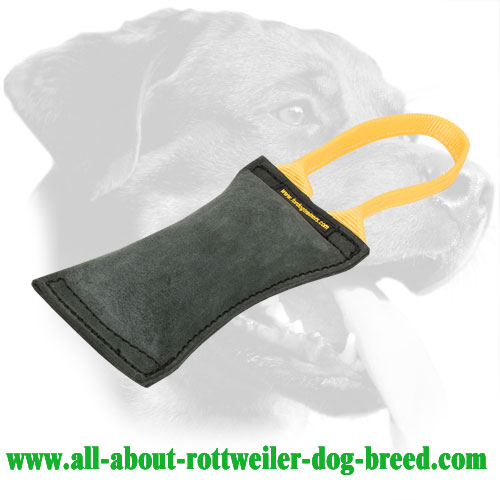 Genuine Double Stitched Leather Rottweiler Bite Tug