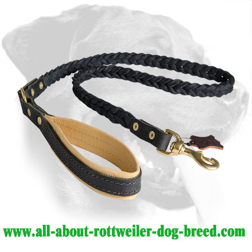 Marvellous Rottweiler Leather Dog Leash