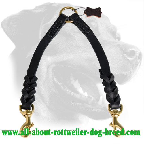 Braided Leather Rottweiler Coupler Leash Fitted with Brass Snap Hooks