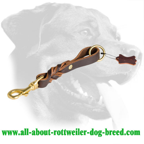 Short Braided Leather Rottweiler Leash with Brass Snap Hook for Easy Attachment