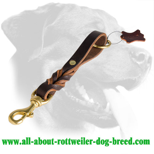 Perfect Short Braided Leather Rottweiler Leash with Brass Floating Ring