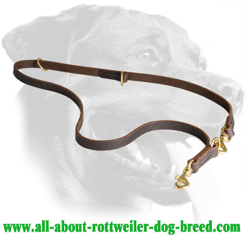 Leather Rottweiler Leash Equipped with Two Snap Hooks