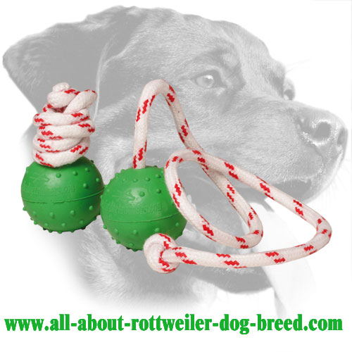 Rubber Rottweiler Training Ball Equipped with Nylon Handle