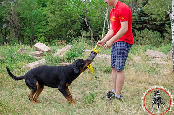 Rottweiler bite-tug high-quality with-handles basic-training