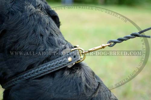 Brass Plated D-Ring on Hand Braided Leather Dog Collar
