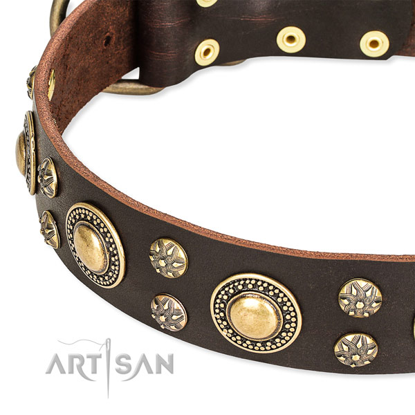 Easy to use leather dog collar with extra sturdy rust-proof buckle