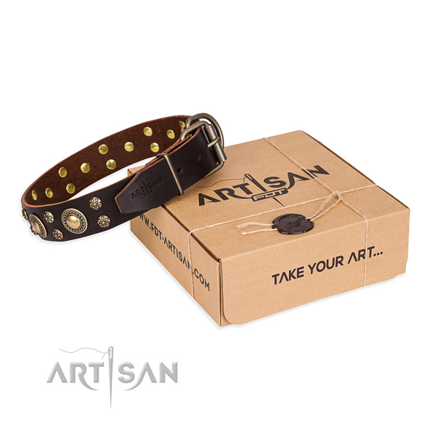 Day-to-day leather dog collar with cute embellishments