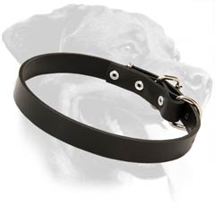 Quality Rottweiler Leather Dog Collar
