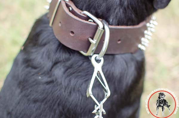 Leather Rottweiler collar with rust-proof fittings