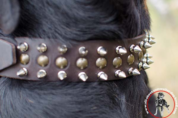 Fashion leather canine collar for Rottweiler with mixed decoration - close-up