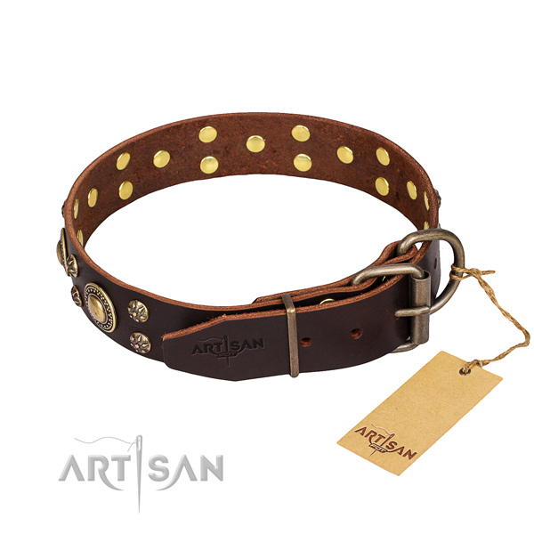 Functional leather collar for your stunning four-legged friend