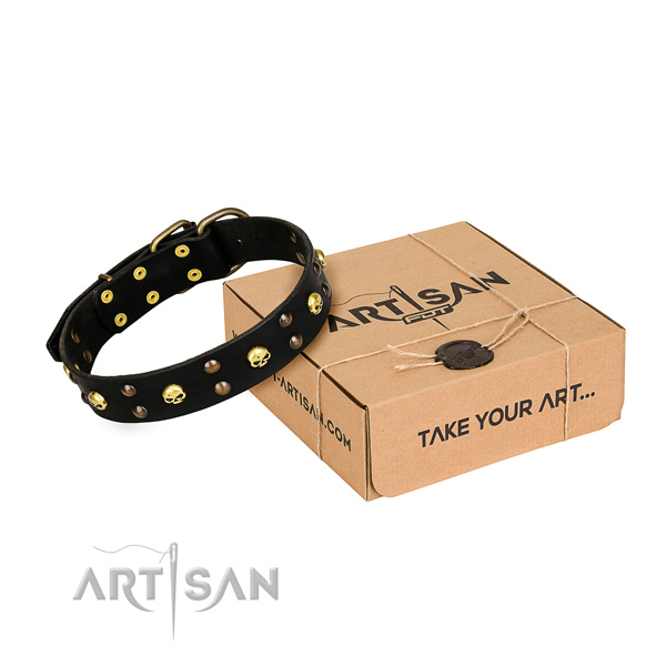 Casual leather dog collar with fancy embellishments