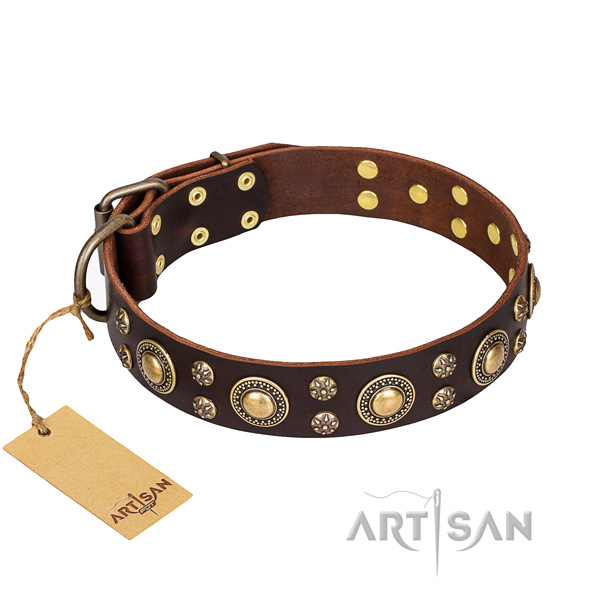 Dependable leather dog collar with durable fittings