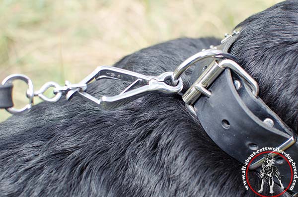 Leather dog collar for Rottweiler with rust-resistant D-ring and buckle