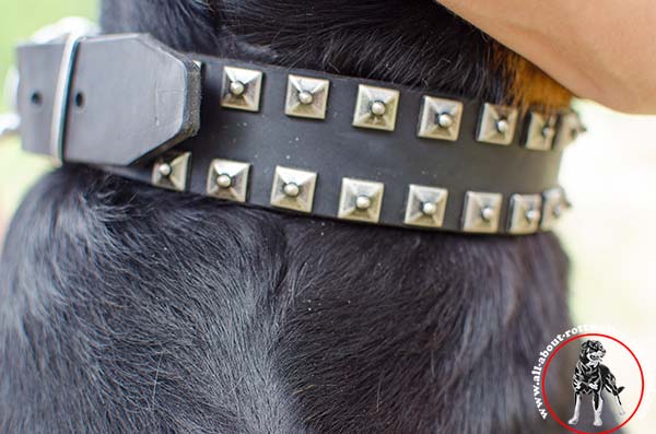 Wear-proof leather dog collar for Rottweiler