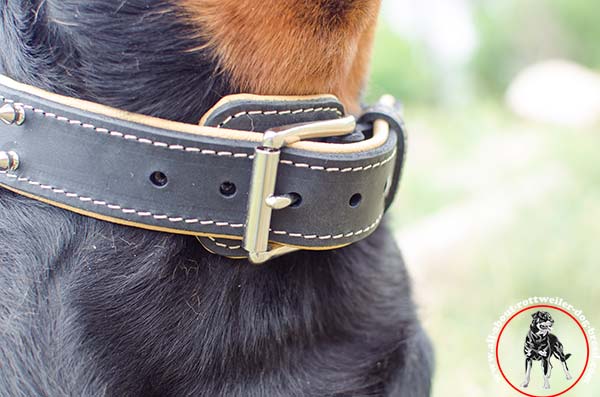 Leather dog collar for Rottweiler with reliable buckle