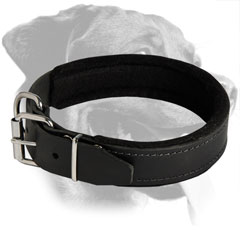 Rottweiler Dog Adjustible Training Padded Leather  Collar