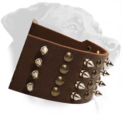 Rottweiler Leather Dog Collar with spikes and studs
