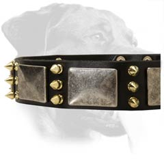 Superb Rottweiler Leather Collar