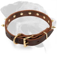 Well-made Rottweiler Leather Dog Collar