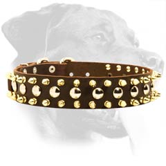 Perfect Rottweiler Leather Dog Collar