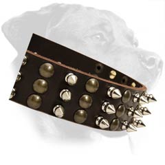 Great Rottweiler Leather Dog Collar