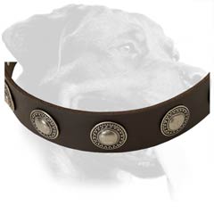Reliable Rottweiler Leather Dog Collar