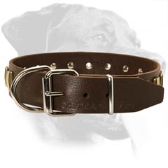 Rottweiler Leather Dog Collar with strong hardware