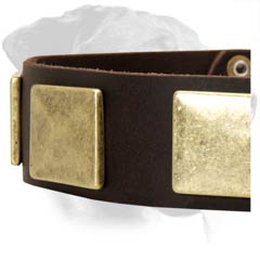 Rottweiler Leather Dog Collar with riveted hardware