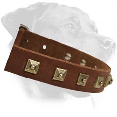 Soft Leather Dog Collar for better comfort