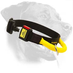 Perfect Rottweiler Nylon Dog Collar