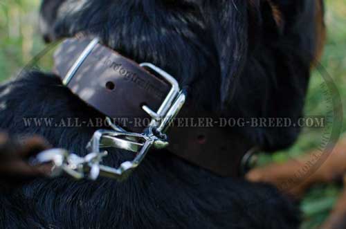 Rottweiler Top Quality Leather Collar with Reliable Buckle