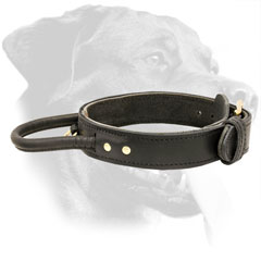 Leather Rottweiler Collar for Attack / Agitation Training
