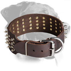 Leather Rottweiler Collar with Agressive Look