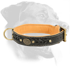 Braided Nappa Padded Leather Rottweiler Collar for Daily Walking