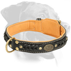 Designer Leather Rottweiler Collar Padded with Soft Nappa